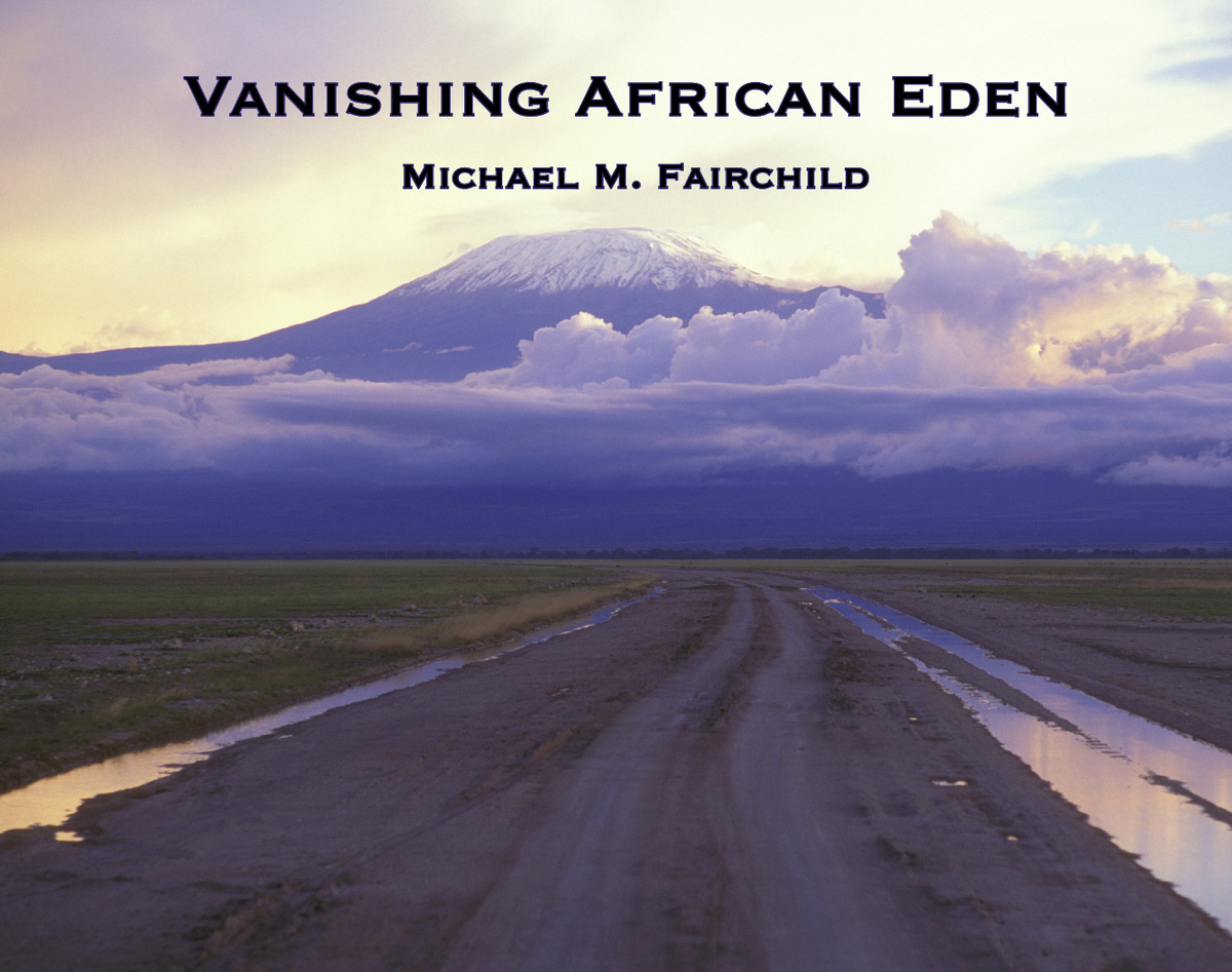 Vanishing Eden Final