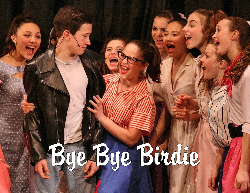 HTCo's Bye Bye Birdie