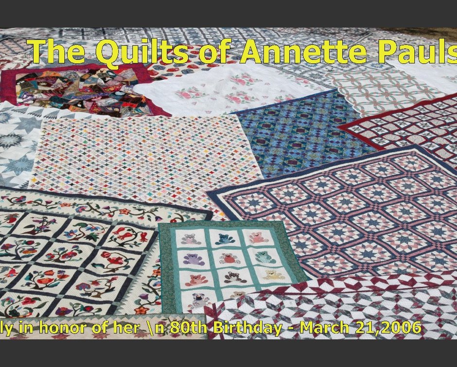 The Quilts of Annette Pauls - 2006