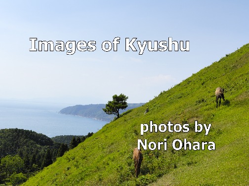 Images of Kyushu -- photos by Nori Ohara