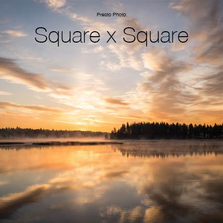 Square x Square Template Cover