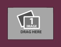 2c.png