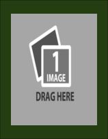 big yearbook template 1d.pdf #13