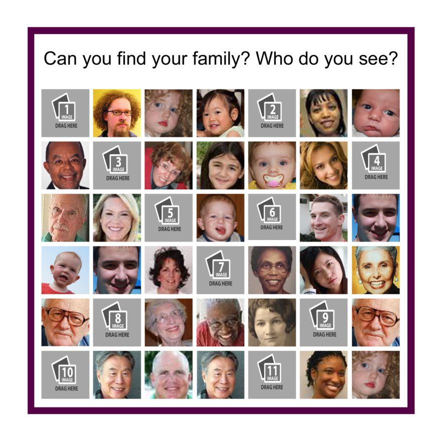 FAMpg2.png