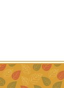 Bottom Border + Text Space