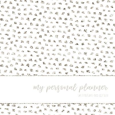 Front Cover - Silver