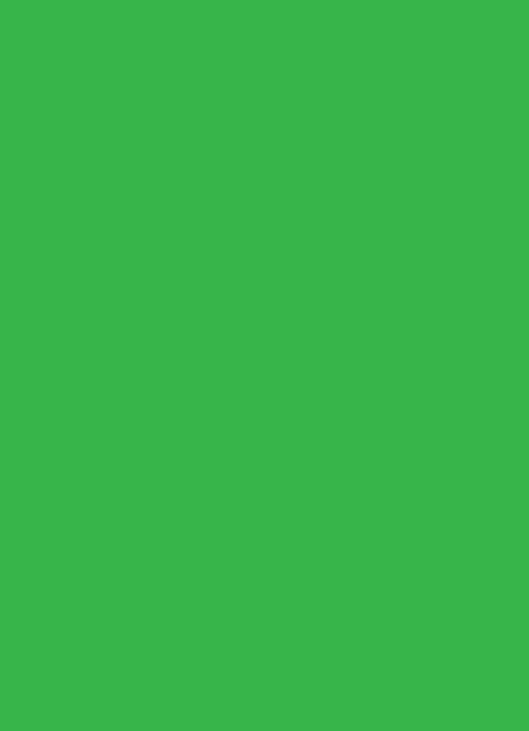 Color Block Solid - Portrait  Template