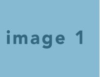 Transparent Backgrounds #11
