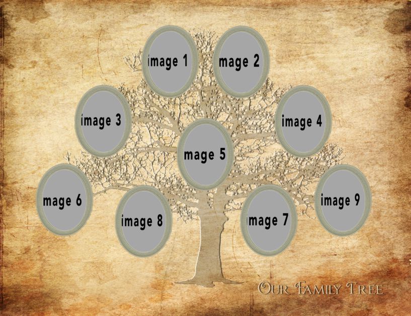 Family Tree