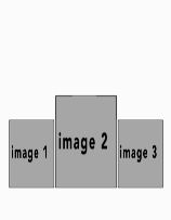 potraitwhite #32