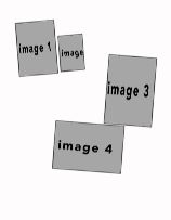 potraitwhite #44
