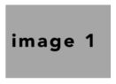 BasicNeutral 11x8.5 #8 #1