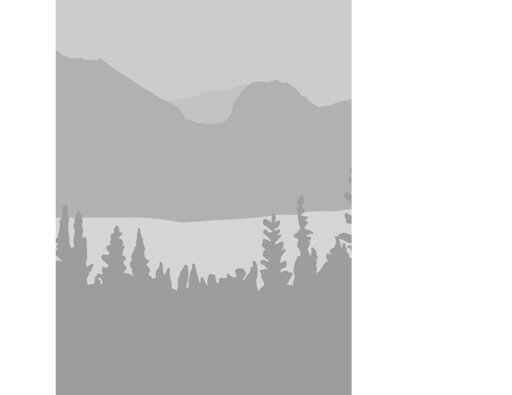 CleanLandscape_43_new #3