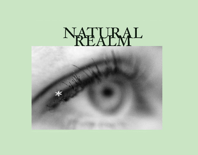 Natural Realm Photo Book