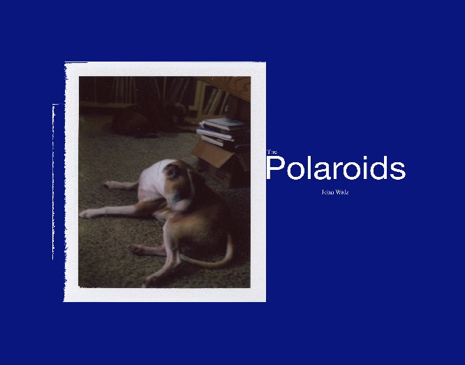 Polaroids Photo Book