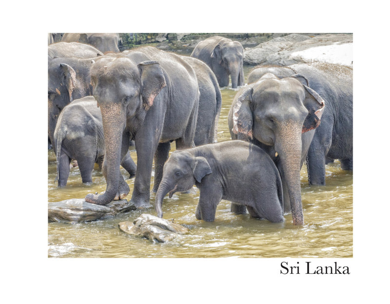 Sri Lanka Photo Book