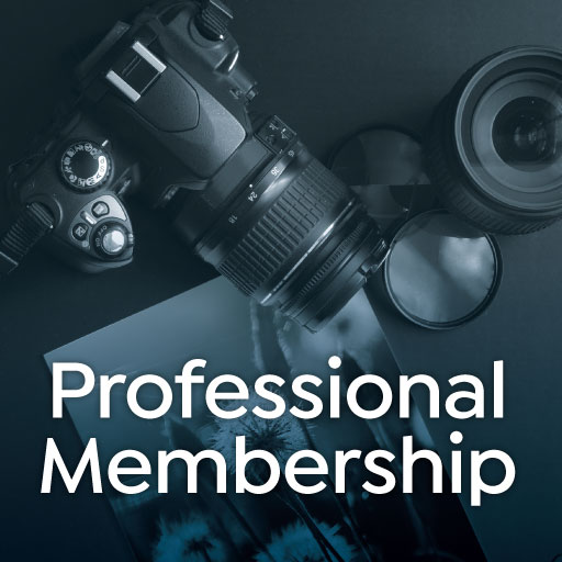 Professional Membership