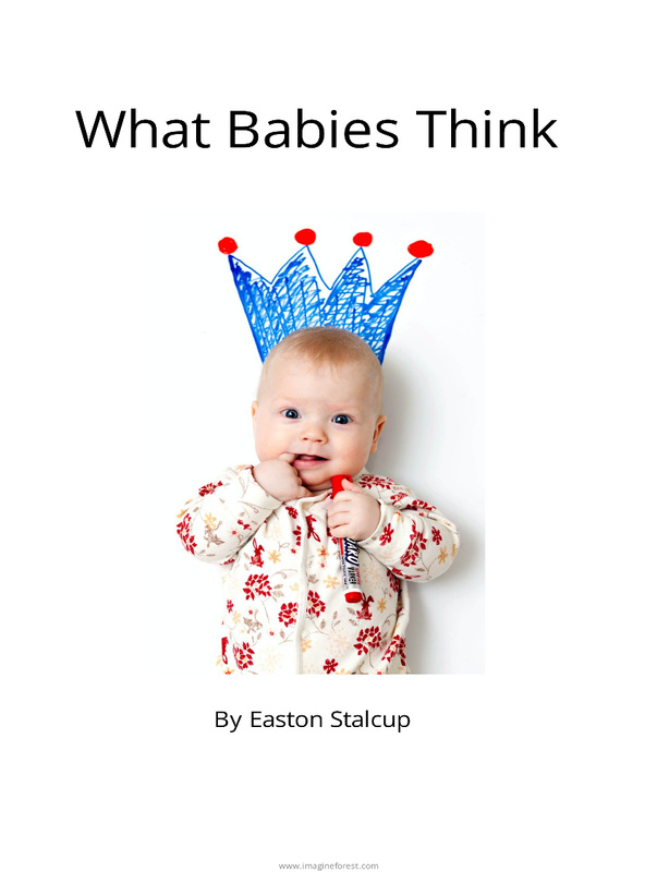 What Babies Think Photo Book
