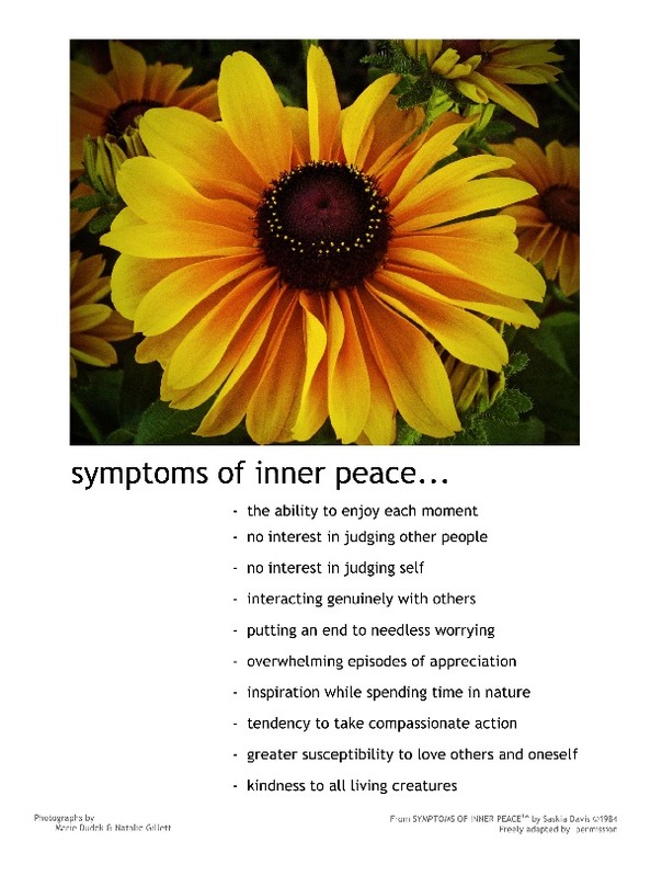 2012 Symptoms of Inner Peace Calendar Calendar
