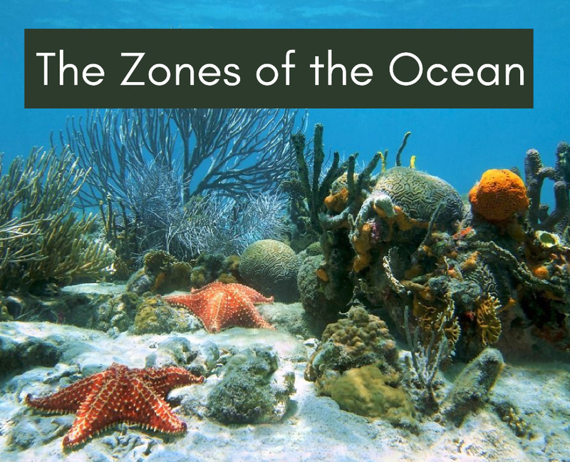 The Zones of the Ocean Photo Book