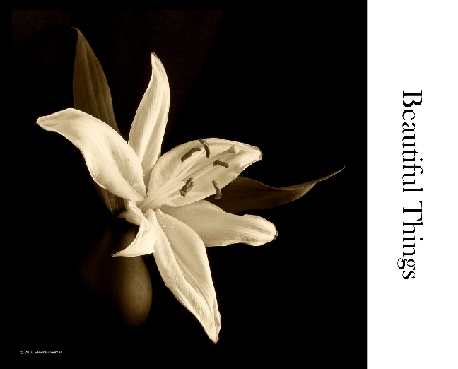 Beautiful Things Photo Book