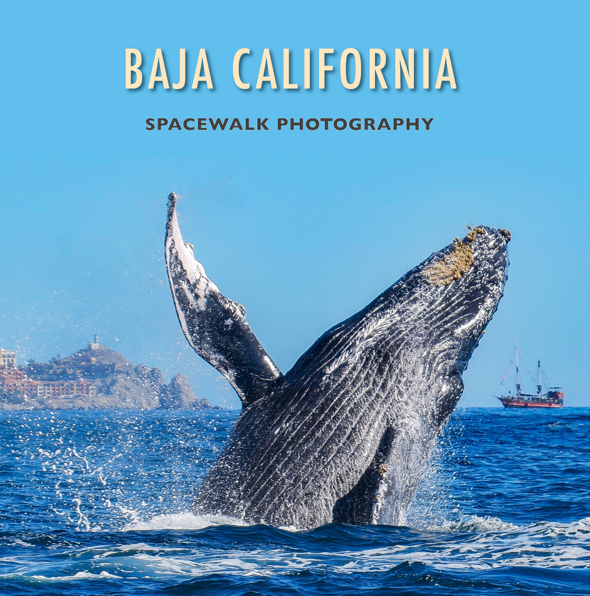 Baja California by Spacewalk