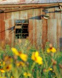 Picayune, Ms. - 2004 by Vincent Magee