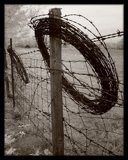 Barbed Wire - 2006 by Vincent Magee