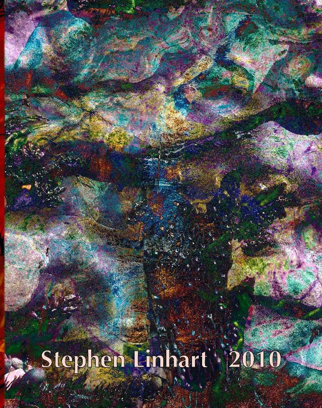 Stephen Linhart 2010