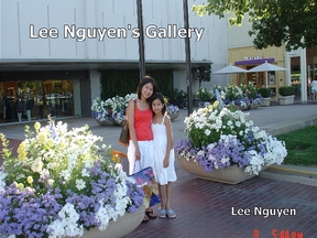 Lee Nguyen's Gallery