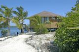 Swaying Palms and Private Balconies