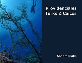 Diving in Provo Turks & Caicos