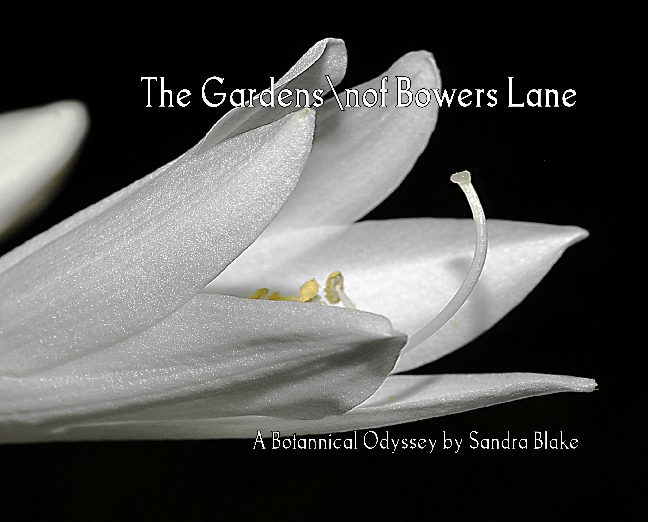 The Gardens of Bowers Lane, A Botannical Odyssey