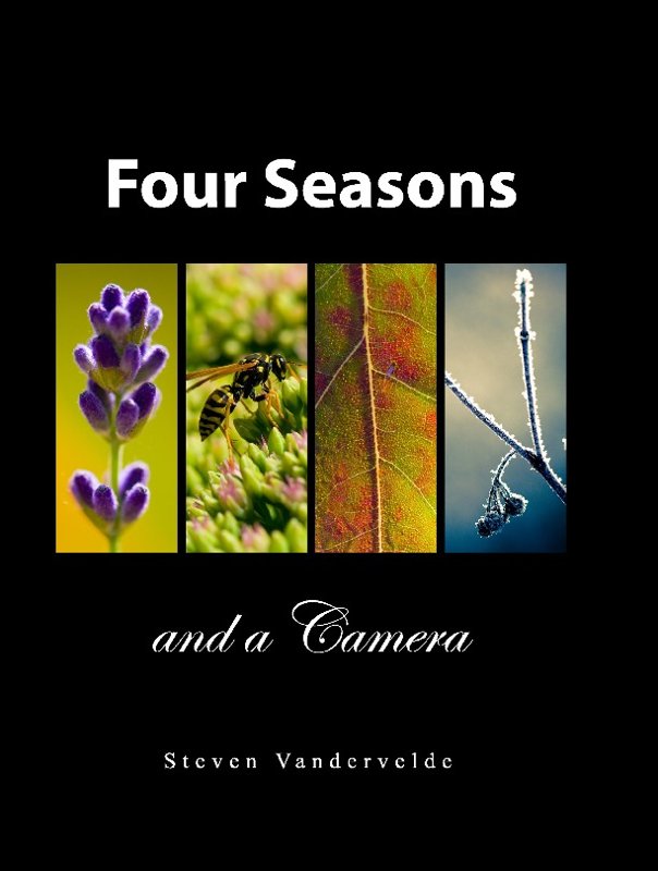 Four_seasons_and_a_camera