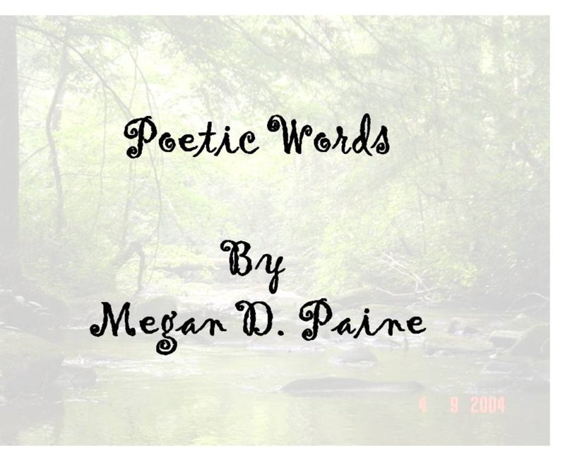 Melinda Palmer's Gallery