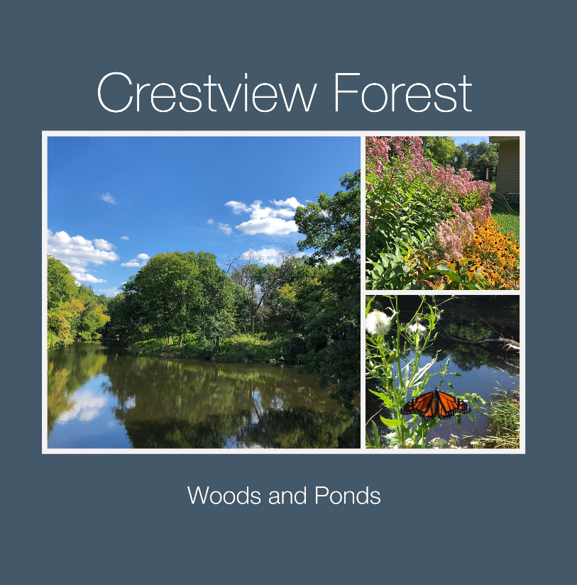 Woods&Ponds