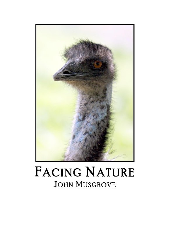 Facing Nature