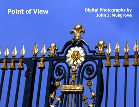 Point of View