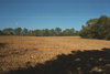 Casper's home plowed field2