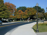 Campus Drive