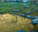 Lost Lake Reflection p