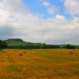 Tuscan Life I