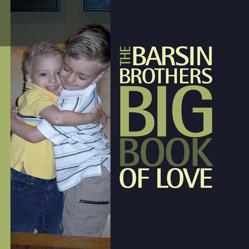 The Barsin Brothers Book