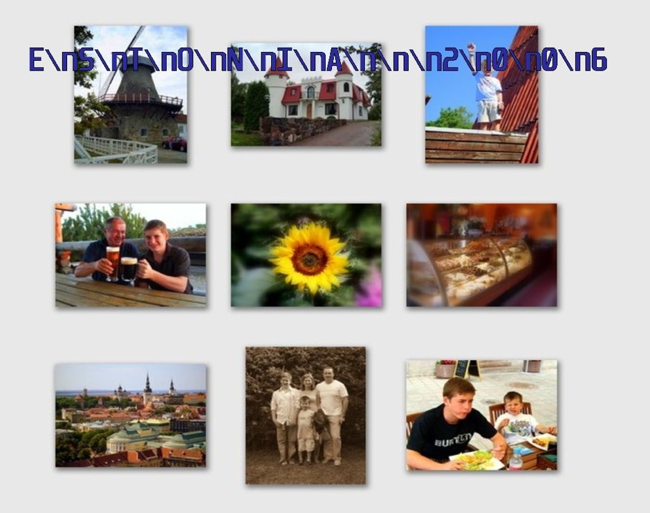 Edward Brailovsky's Gallery