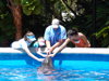 Dolphin encounter