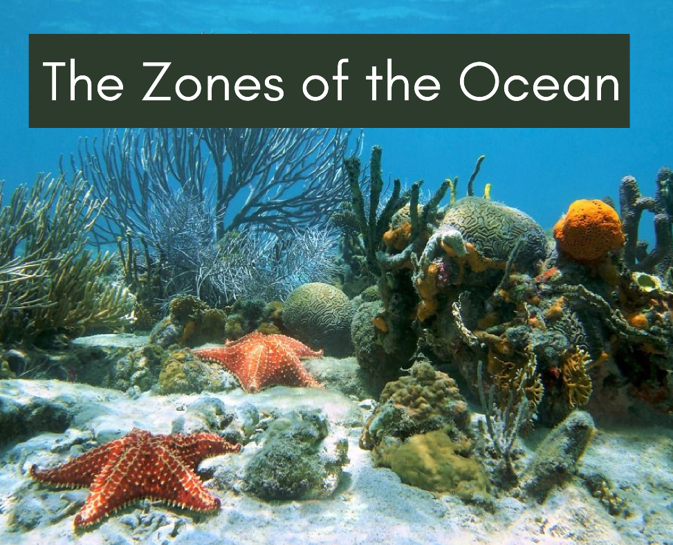The Zones of the Ocean