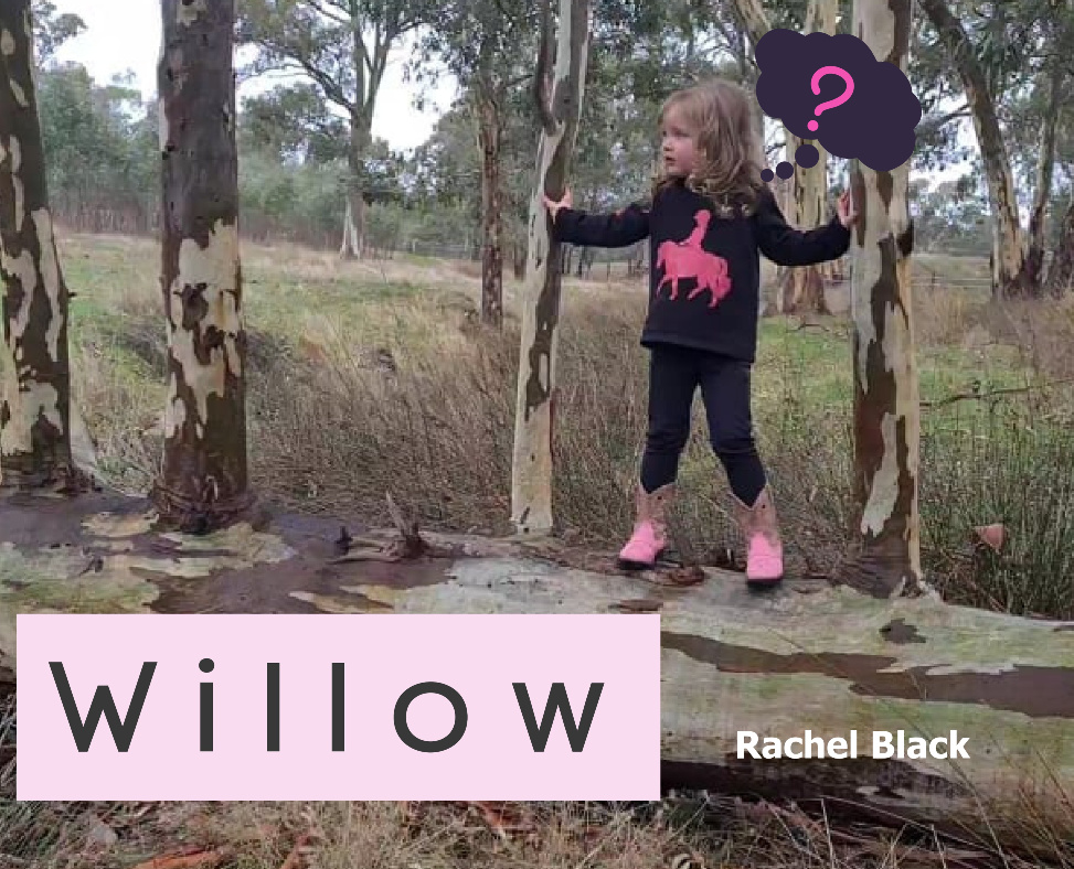 Willow