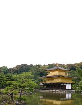 Neil Millar's Gallery