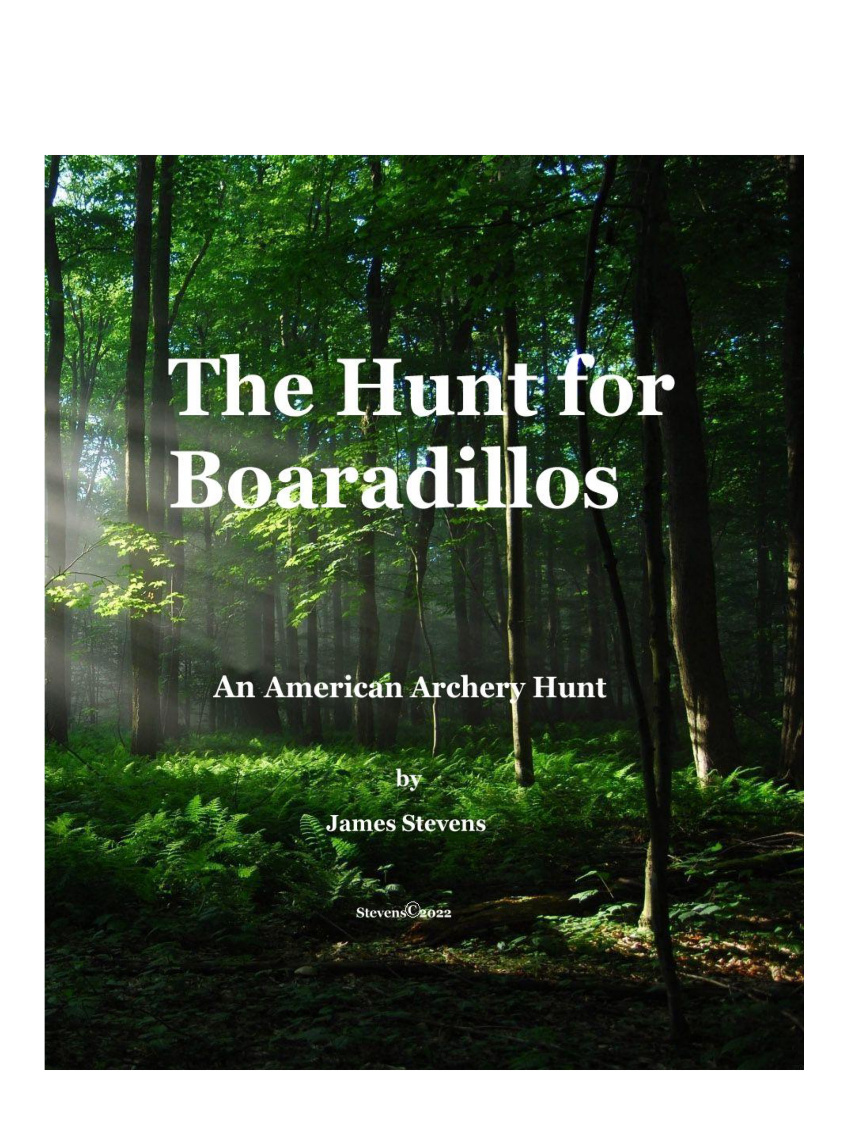 The Hunt for Boaradillos