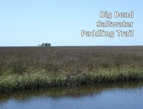 Greg Knueven's Gallery